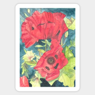 Red poppies watercolour painting Sticker